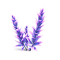 Thumbnail for version as of 08:20, 7 August 2021