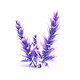 Violet Beau Icon.png