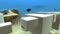 Thumbnail for version as of 20:52, 17 March 2023