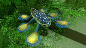 Hoverfish (2).jpg