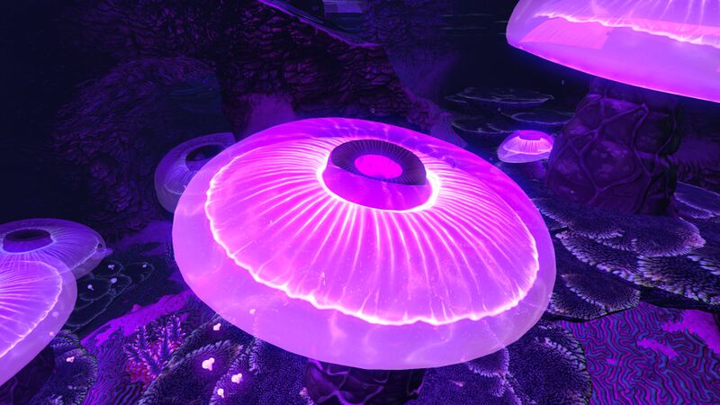 File:JellyshroomNight.jpg