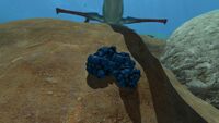 The large form of Titanium.