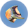Red Eyeye.png