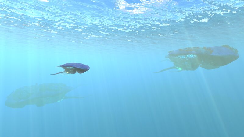 File:ReefbackCrashZone.jpg