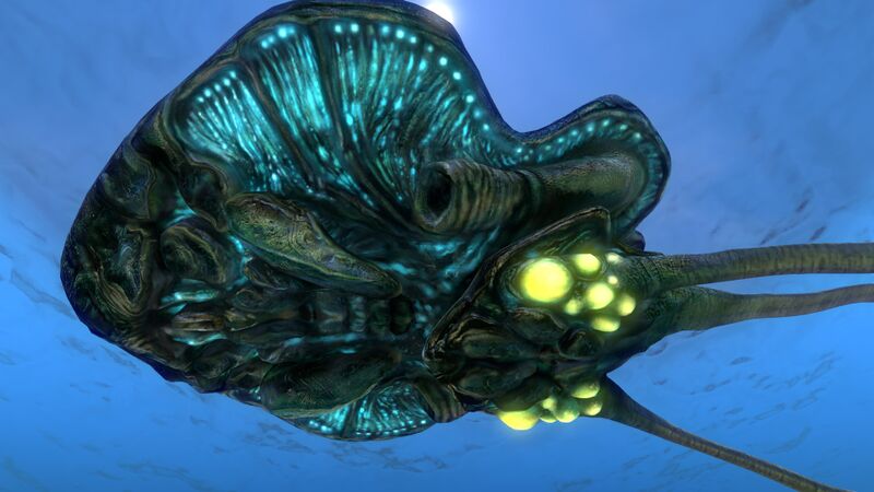 File:Reefback (4).jpg