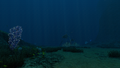 Thumbnail for version as of 20:48, 13 March 2019
