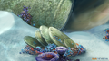 Thumbnail for version as of 18:38, 17 May 2015