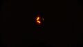 Bioluminescence