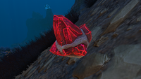 An Aluminum Oxide Crystal in the Grand Reef
