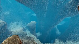 Big Underwater Islands (3).jpg