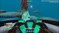 Thumbnail for version as of 17:45, 3 March 2015