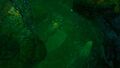 Thumbnail for version as of 23:18, 6 August 2021
