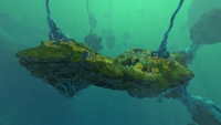 Green Table Coral in the biome