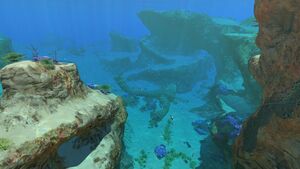 Safeshallows(13).jpg