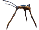 Sea Treader Fauna.png