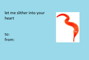 Tumblr 4438bc0bc888e89cfd7210bc8c4f3ede 9bef3d01 500.png
