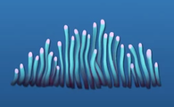 Unknown Grass.png