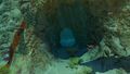 An entrance to a Safe Shallows Cave