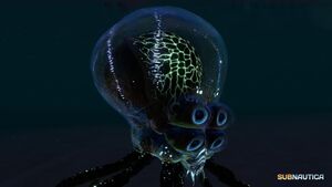 Crabsquid (3).jpg