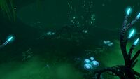Blood Crawlers in the Ghost Forest