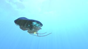 Majestic Reefback 1.jpg
