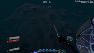 Reef view.png