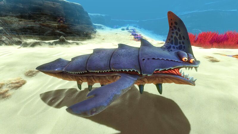 File:Sand Shark (2).jpg