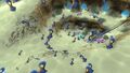 A shoal of Holefish