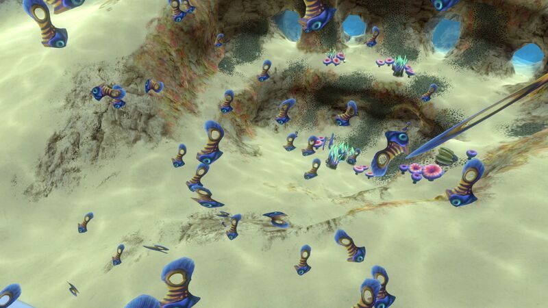 File:Shoal of Fish (5).jpg