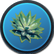 Compost Creepvine.png