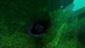 Thumbnail for version as of 17:55, 6 August 2021