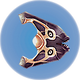 Cured Boomerang.png