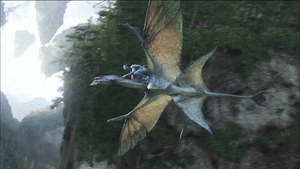 EF2F14FE-DBA7-490B-8B63-4E31A8B71A98.gif