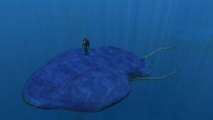 ReefbackJuvenileSizeref.jpg