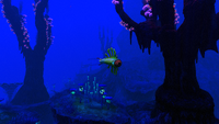 A Discus Fish near the entrance of the Fissure.