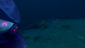 WarpsRevived4.png