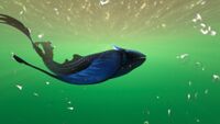 Glow whale in the open ocean
