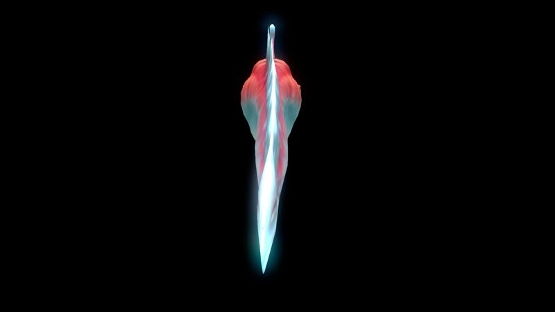 File:Biter (Black)-1.jpg