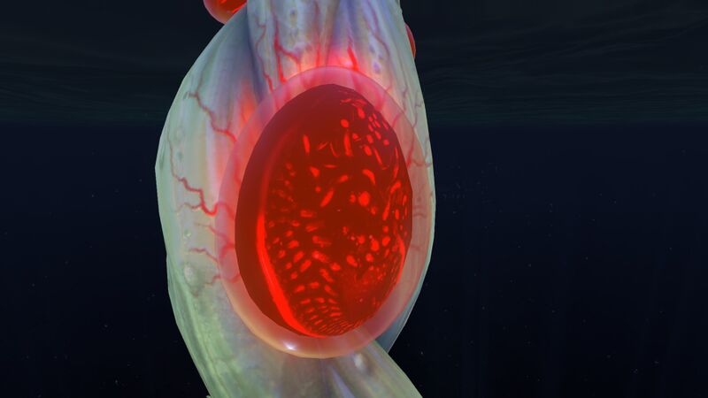 File:Blood Oil (6).jpg