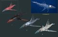 Thumbnail for version as of 17:29, 6 August 2021