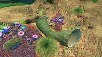 The Giant Coral Tube in the Primary Containment Facility Aquarium