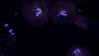 A view from the bottom of one of the bigger caves