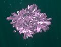 Thumbnail for version as of 02:12, 29 July 2016