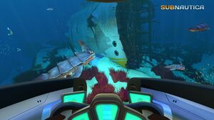 Snsteamstore6.jpg