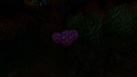 Speckled Rattler