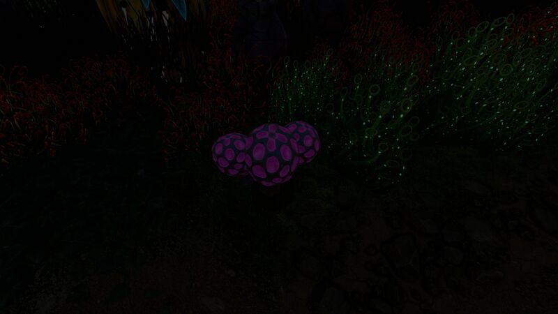 File:SpeckledRattlerNight.jpg