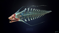 Spine Eel Model from Sketchfab
