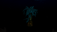 Bioluminescence