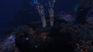 GrandReefPipes.png