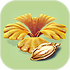 Grub Basket Seed.png